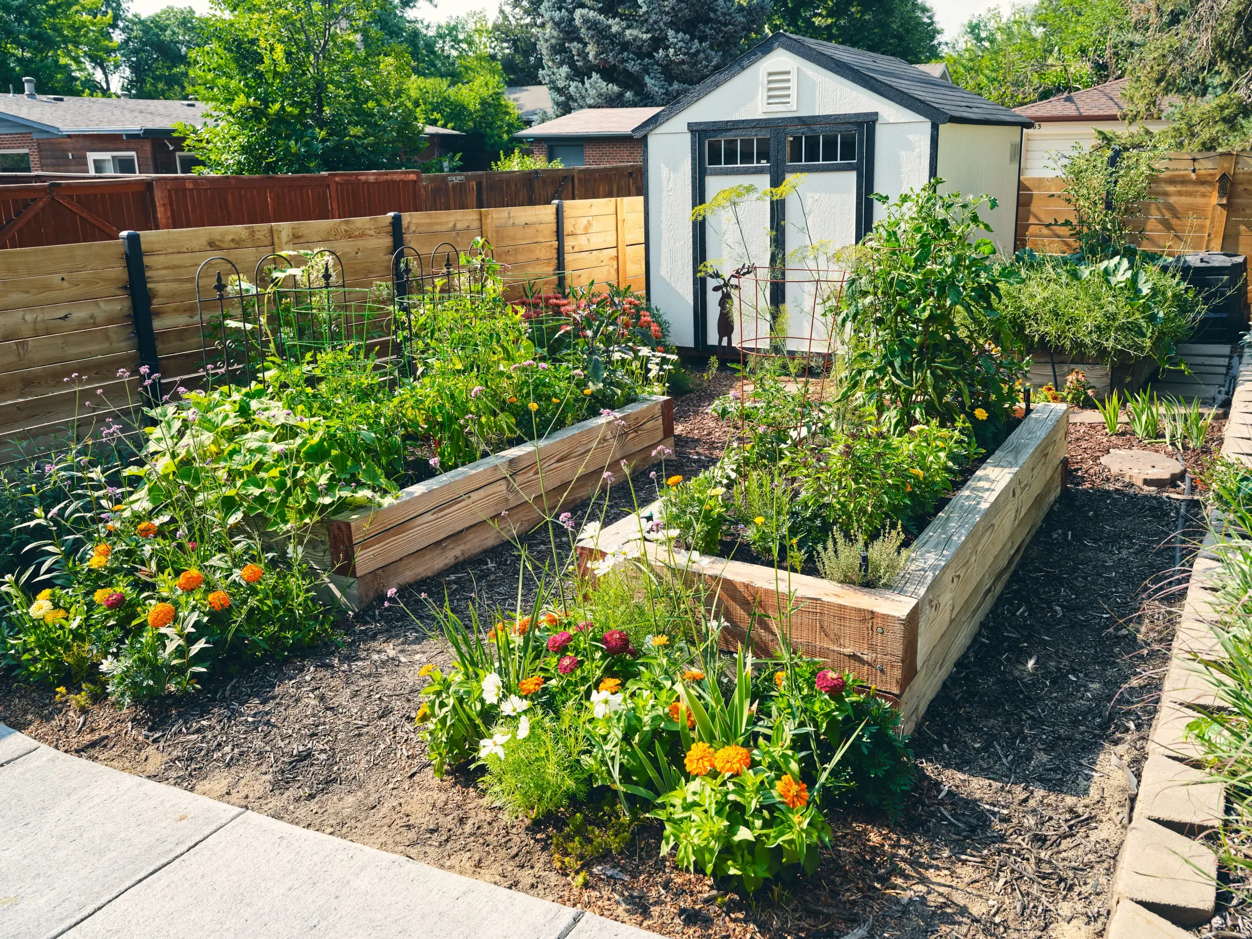 Ultimate Guide To Enhance Your Landscape From Nursery